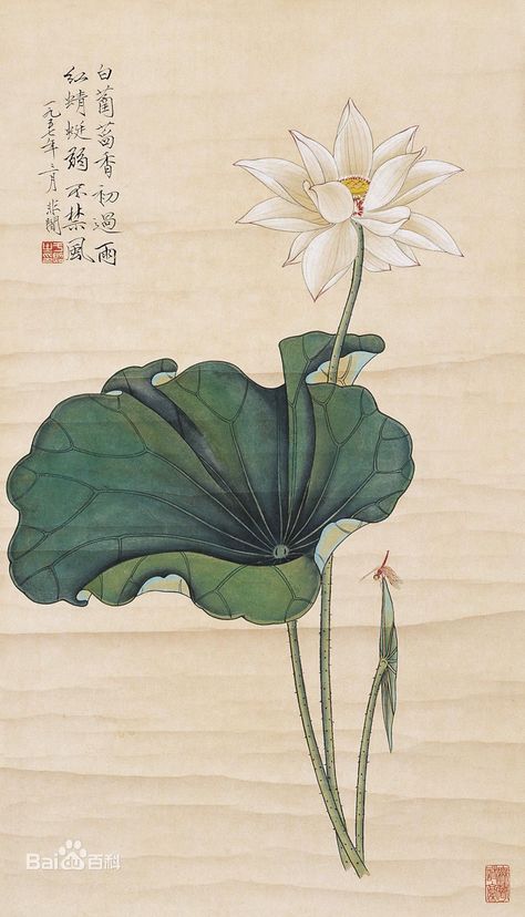 Image Zen, Lotus Painting, Lotus Art, Illustration Botanique, Art Japonais, Japanese Painting, Japan Art, Chinese Painting, Botanical Illustration