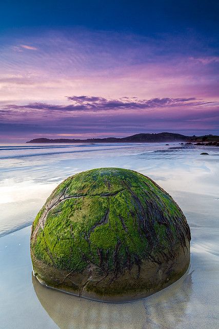 Prehistoric | Moeraki Boulders, New Zealand | The Moeraki Bo… | Flickr Moeraki Boulders, Beach New Zealand, New Zealand Travel Guide, Natural Objects, Exotic Beaches, New Zealand Travel, Beaches In The World, Beach Scenes, Beautiful Places To Visit