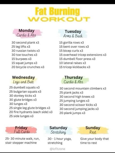 Workout Schedule Easy, 6 Week No Gym Home Workout Plan, Free Weight Workout Plan, All Week Workout Plan, Workout Routine For The Week, Workout Routine For Home, Gym Workouts Women Weekly Routine, Workout Plan Month, Busy Schedule Workout Plan