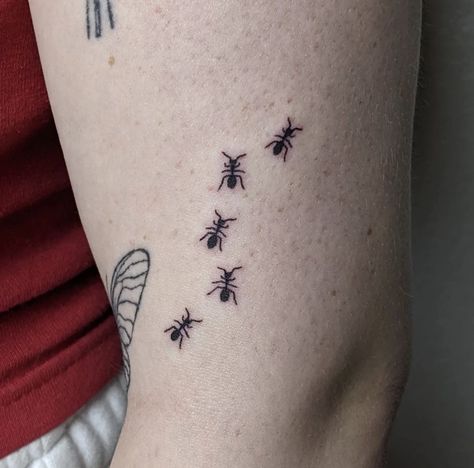 Small Insect Tattoos For Women, Tattoo Ideas Insects, Floral Stick And Poke, Small Bug Tattoo Ideas, Unsettling Tattoos, Bug Finger Tattoo, Bug Stick And Poke, Matching Bug Tattoos, Pill Bug Tattoo