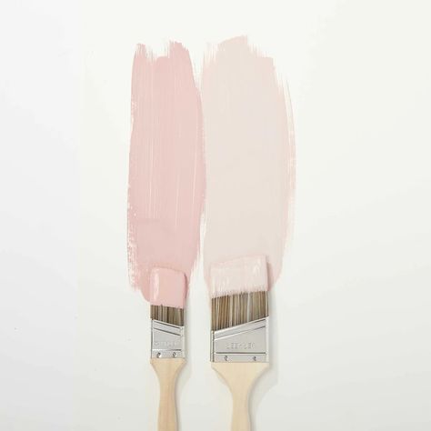 Paint For Interior Walls, Pink Paint Colors, Trim Paint, Caitlin Wilson, Blue Nursery, Rose Wall, Wall Trim, Pink Paint, Painting Trim