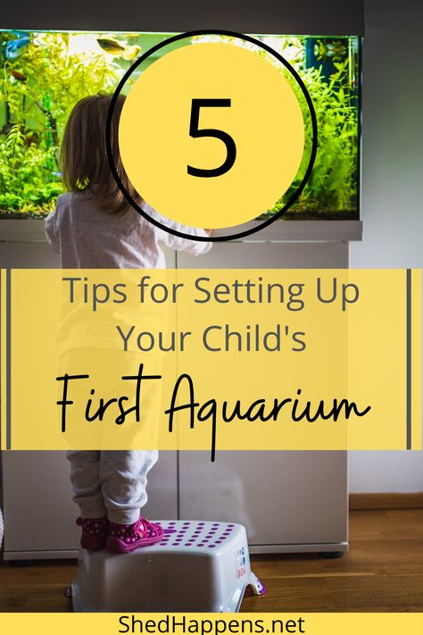 Have you considered setting up a children's fish tank in your home? Aquariums are a great tool to teach responsibilty, discuss our underwater ecosystems, and more. In this article, I share 5 tips to set up a fish tank for your children including a variety of safe and educational children's fish tank ideas. This includes choosing the best size fish tank for kids, how to involve your child(ren) in fish tank decorating and more. Aquarium For Kids, Fish Tank For Kids, Kids Aquarium, Common Goldfish, Glass Fish Tanks, Small Fish Tanks, Cool Fish Tanks, Different Fish, Fishing For Beginners