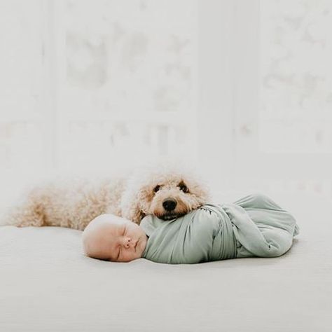 Newborn With Dog, Newborn And Dog, Newborn Family Pictures, Kind Photo, Newborn Photography Boy, Baby Pictures Newborn, Newborn Family Photos, Newborn Baby Photoshoot, Newborn Photo Ideas