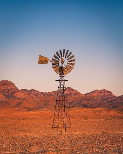 Australia Aesthetic Outback, Australia Outback Aesthetic, Outback Sunset, Aussie Outback, Closed Terrarium Plants, Website Aesthetic, Australia Outback, Closed Terrarium, Sunset Colours