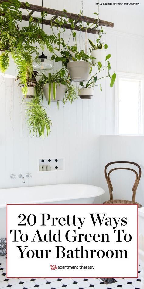 Here are 20 pretty ways to add green to your bathroom. #green #greenideas #greenbathroom #bathroomideas #bathroomcolors #bathroomdecor #bathroomdecorideas #greencolorpalette #greenpaintcolors Plants In Bathroom, Best Bathroom Plants, Houseplants Decor, Bathroom Green, Diy Hanging Planter, Hanging Plants Indoor, Eclectic Modern, Bathroom Plants, Bedroom Plants