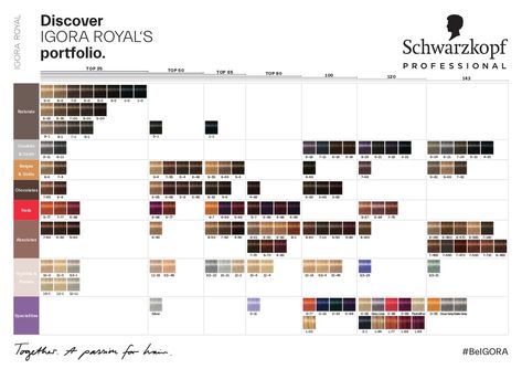 Schwarzkopf Hair Color Chart, Professional Hair Color Chart, Schwarzkopf Hair Colour, Red Color Chart, Igora Hair Color, Hair Chart, Schwarzkopf Hair Color, Schwarzkopf Color, Professional Hair Color