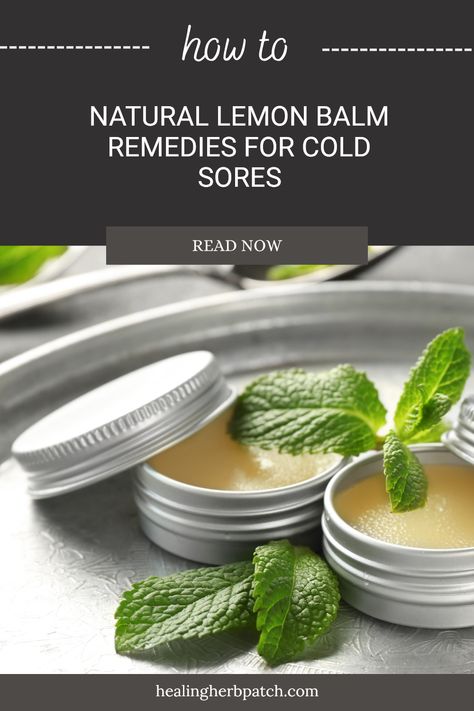 Discover how lemon balm can effectively relieve and heal cold sores with easy, natural remedies. This potent herb has been used for generations to soothe and comfort those dealing with outbreaks. From at-home treatments to tips on promoting healing, uncover all the ways lemon balm can be a delightful addition to your wellness routine. Whether you're curious about its anti-viral properties or looking for natural home remedies, this guide will empower you and ease your worries over cold sore frustrations! Herbs For Cold Sores, Lemon Balm Salve, Lemon Balm Extract, Healing Tips, Cold Sores, Lemon Benefits, Cold Sore, Wellness Routine, Lemon Balm