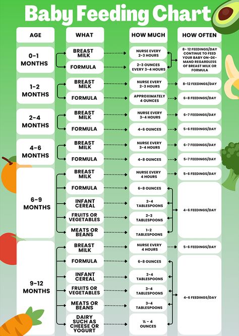 Determining how much milk or food should your baby eat can be a challenge for new parents. The situation is even more complicated when you introduce solids to your baby's diet. Here is a basic feeding chart for the first year. But this still depends on the baby. The amounts are taken as average and can vary. Infant Eating Chart, How Much Should Newborns Eat, Foods 6 Month Olds Can Eat, Milk Chart For Babies, Infant Milk Intake Chart, Food Chart For 6 Months Baby, Baby Food Chart By Age Starting Solids, Food Introduction Chart Baby, How Much To Feed Baby