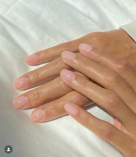 Mani Pedi Colors, Sheer Pink Nails, Classy Manicure, Short Classy Nails, Old Money Nails, Money Nails, Soft Pink Nails, Sheer Nails, Clean Nails