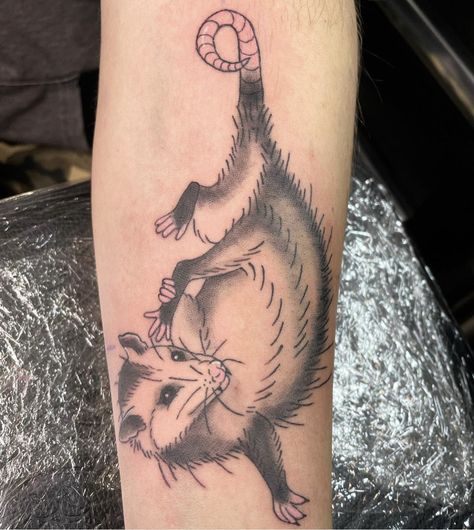 Neo Traditional Possum Tattoo, Possum Flash Tattoo, Screaming Possum Tattoo, American Traditional Opossum Tattoo, Traditional Possum Tattoo, Opossum Drawing, Possum Tattoo, Opossum Tattoo, Possum Art