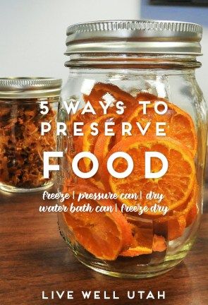 preserve food Making Jerky, Preserve Food, Canning Food Preservation, Root Cellar, Dehydrated Food, Homestead Survival, Wild Game, Survival Food, Food Supply