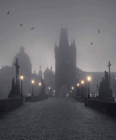 Home / Twitter Charles Bridge Prague, Berlin Palace, Charles Bridge, Living Modern, Europe Map, Gothic Aesthetic, Prague Czech Republic, Prague Czech, City Aesthetic