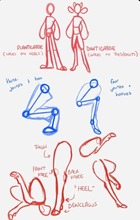 Faun Legs, Legs Tutorial, How To Draw People, Art Advice, Instant Ramen, Draw People, Body Drawing Tutorial, Body Reference Drawing, Ice Breaker