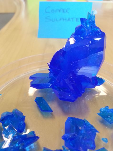 Our copper sulphate crystals - a high school chemistry favourite. Copper Chemistry, How To Grow Crystals, Apologia Physical Science, Different Types Of Crystals, Grow Crystals, Copper Sulphate, Chemistry Activities, Cool Experiments, Ap Chemistry