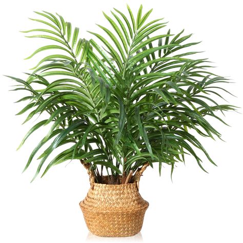 PRICES MAY VARY. If you want to decorate with plants but don't have a green thumb, artificial plants are a great option.  In the office or at home, the MOSADE plastic palm tree planter is a good choice. It works well in both modern and more classic contexts.   Features:  ✔ Original and authentic design.  Yes, it is possible to have a palm tree at home. Fits in any room, measures 28 inches tall and fits on the floor, table or shelf. Make your favorite places more fun with a unique touch!   ✔ Styl Tall Fake Plants, Areca Palm Plant, Planter Cover, Tree Planters, Balcony Bedroom, Bathroom Gifts, Porch Balcony, Areca Palm, Fiddle Leaf Fig Tree