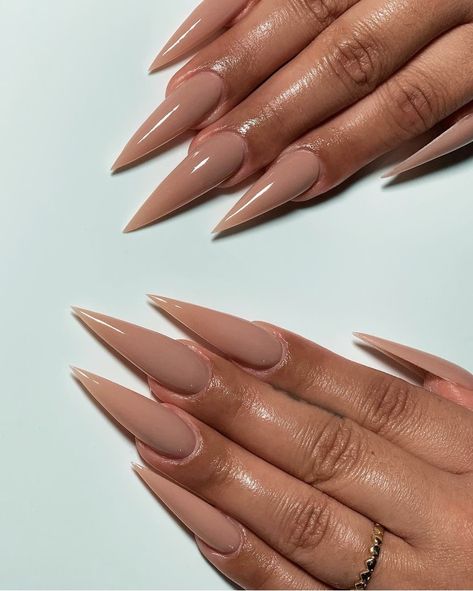 Staleto Nails, Nude Stiletto Nails, Romantic Nail Art, Acrylic Nails Stiletto, Stilleto Nails Designs, Acrylic Nails Nude, Long Stiletto Nails, Small Nails, Claw Nails