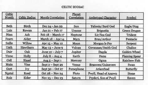 Celtic Birth Signs, Nordic Zodiac Signs, Celtic Horoscope, Astrology Basics, Celtic Tree Astrology, Writing Basics, Birth Symbols, Celtic Paganism, Pagan Life