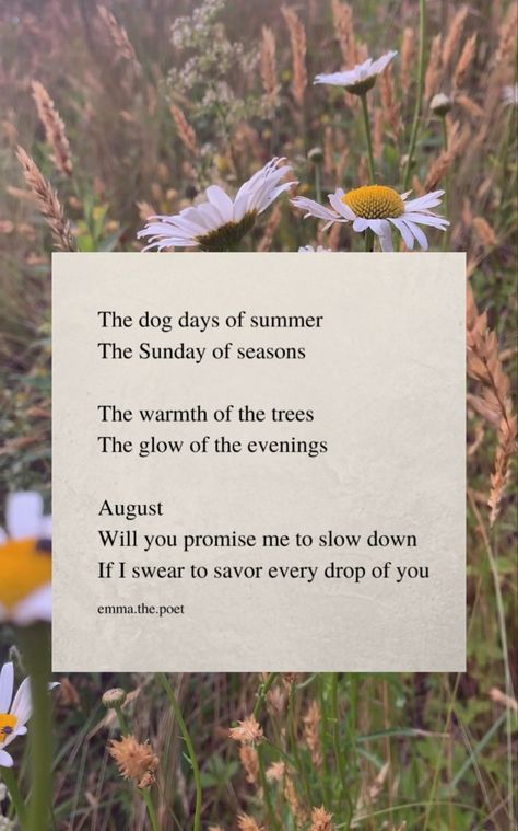 It Was Late August, August Aesthetic Quote, August Leo Aesthetic, Late Summer Quotes, August Vibes Aesthetic, Virgo Lifestyle, Poems About Summer, August Poem, August Aesthetic Month