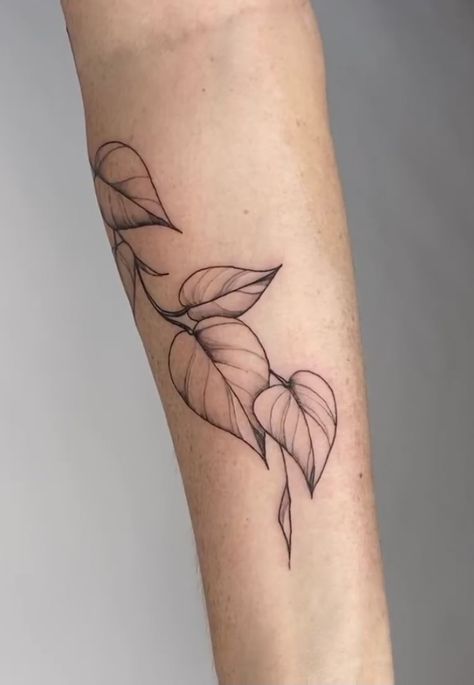 Plant Tattoo Ribs, Hobbit Leaf Tattoo, Golden Pathos Tattoos, Pothos Sleeve Tattoo, Plant Wrapped Around Arm Tattoo, Small Pothos Tattoo, Pothos Leaves Tattoo, Heart Leaf Philodendron Tattoo, Pothos Tattoo Design