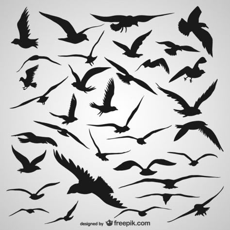 More than a million free vectors, PSD, photos and free icons. Exclusive freebies and all graphic resources that you need for your projects Seagull Tattoo, Birds Silhouette, Flying Bird Silhouette, Angel Wings Drawing, Silhouette Painting, Painting Tattoo, Flying Birds, Vector Sketch, Bird Silhouette