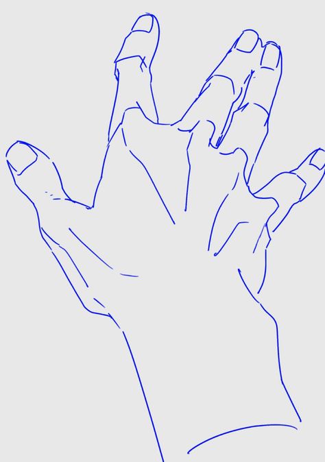 Hands Tutorial, Human Anatomy Drawing, Hand Drawing Reference, Human Anatomy Art, Anatomy Sketches, Hand Reference, Concept Art Drawing, Poses References, Anatomy Drawing