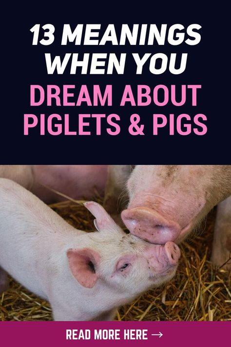 Due to the unhygienic, greedy, and gluttonous nature of pigs, their symbolic cultural meaning is often used in a derogatory sense. However, in some cultures, they are revered as a symbol of success, fertility, abundance, and financial prosperity. #dreams #animalsymbolism #dreaminterpretation #dreammeaning Symbol Of Success, Financial Prosperity, Animal Symbolism, Dream Meanings, Hidden Messages, Dream Interpretation, You Dream, Pigs, Fertility