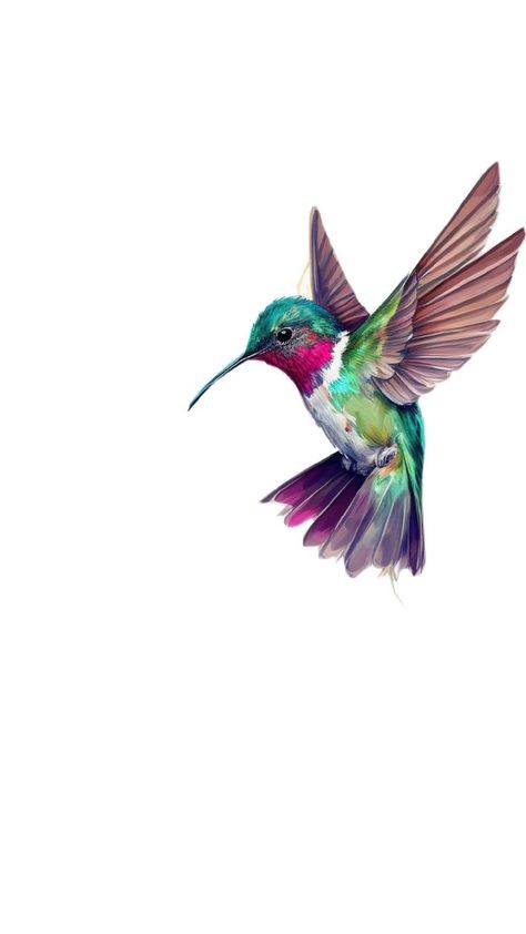 Hummingbird Tattoo Design, Hummingbirds, Hummingbird Sketch, Hummingbird Art, Hummingbird Tattoo, Flower Art Images, Watercolor Bird, Birds Painting, Bird Art