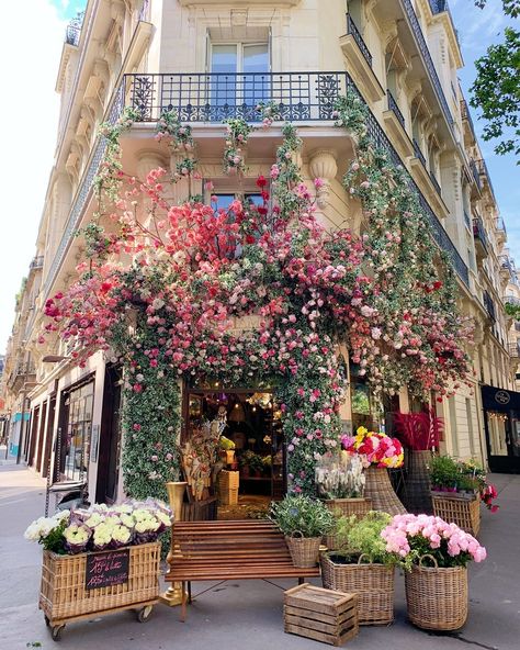 Paris (@aparisiennelife) posted on Instagram: “Just your average neighborhood flower shop. I love that these are the sights I see as we walk in our neighborhood. ⠀⠀⠀⠀⠀⠀⠀⠀⠀ ⠀⠀⠀⠀⠀��⠀⠀⠀⠀…” • Jul 15, 2021 at 3:00pm UTC Best Cafes In Paris, Spring In Paris, Flower Cafe, Parisian Cafe, Balcony Plants, Flower Store, Paris Cafe, French Floral, Living In Paris