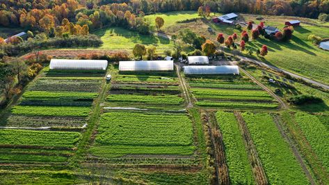 Hemp Farm, Creative Vision Boards, Crop Production, Green Queen, Market Garden, Washington County, Permaculture, Dream Garden, Farm Life