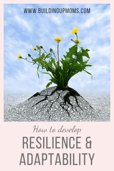 Resilience and Adaptability - Building Up Moms Adaptability Illustration, Resilience Illustration, Resilience Activities, Kids Faith, First Response, Personal Improvement, Book Cover Illustration, Thought Process, School Counseling