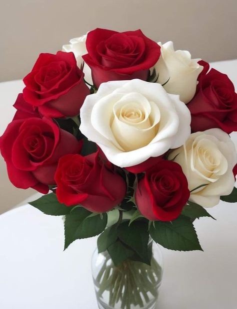 Good Morning Flowers Rose My Love, Beautiful Rose Flowers Bouquets, Beautiful Rose Flowers Romantic, Good Morning Rose Flower, Rose Flower Photos, Love Rose Flower, Rose Flower Arrangements, Capas Samsung, Rose Belle