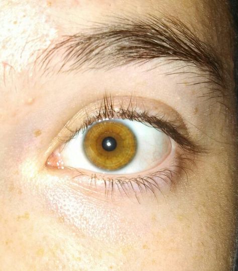 Yellow Amber Eyes, Honey Eyes Color, Amber Eyes Color, 2000s Makeup Looks, Spring Eye Makeup, Hazel Brown Eyes, Honey Eyes, Beautiful Eyes Color, Amber Eyes