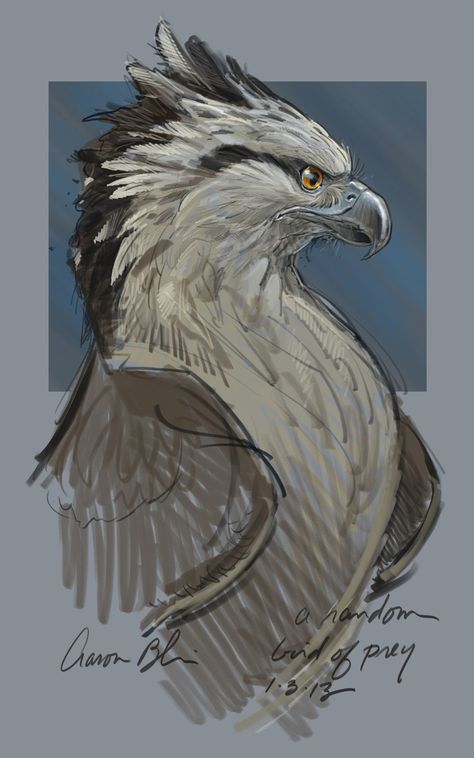 Aaron Blaise, Animal Study, Creature Drawings, An Eagle, Mythical Creatures Art, Mythological Creatures, Animal Sketches, Arte Fantasy, Arte Animal