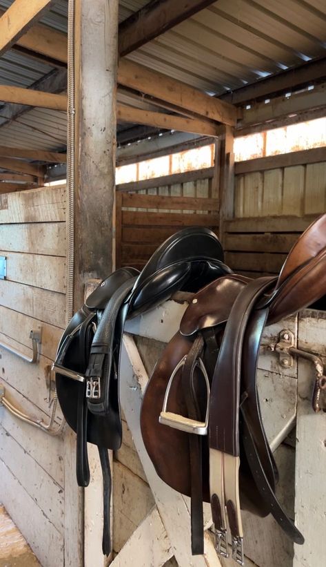 Horse Job Aesthetic, Horse Equipment Aesthetic, Saddle Club Aesthetic, English Saddle Aesthetic, Rich Equestrian Aesthetic Stables, Saddling A Horse, Stable Hand Aesthetic, English Horseback Riding Aesthetic, Owning A Horse Aesthetic