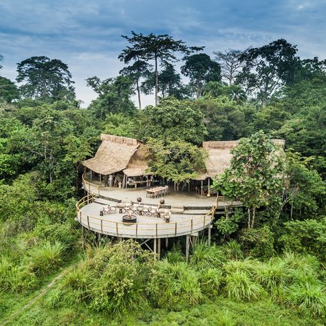 Odzala - Lango Camp in the Republic of Congo Congo Basin, African Rainforest, Lakeside Resort, Wilderness Camping, Bamboo House, Luxury Tents, Safari Lodge, Village House Design, Bucket Lists