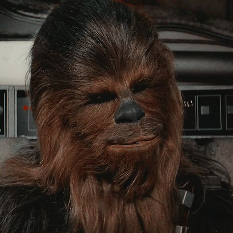 Star Wars Icon, Chewie Star Wars, Ios Aesthetic, Galactic Heroes, Bounty Hunters, Star Wars Wallpaper, Star Wars Movie, Space Opera, Chewbacca