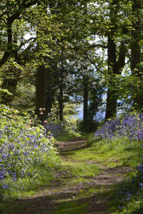 Natures Path, Forest Path, Walk In The Woods, Lush Greenery, English Countryside, Nature Beautiful, Pretty Places, Dream Garden, Nature Pictures