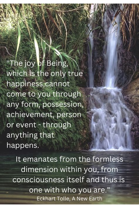 Eckhart Tolle Quotes Inner Peace, Elkhart Tolle, Ekhart Tolle, Life Reminders, Spiritual Awakening Higher Consciousness, Eckhart Tolle Quotes, Spiritual Awakening Quotes, Bliss Quotes, Flow State