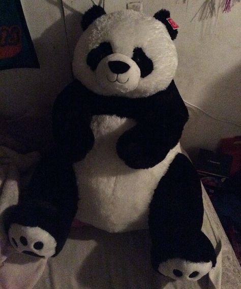 🐼so worth 50 bucks Panda Stuff Toy, Panda Aesthetic, Huge Teddy Bears, Panda Teddy, Panda Teddy Bear, Panda Items, Teddy Bear Cartoon, Big Panda, Big Teddy