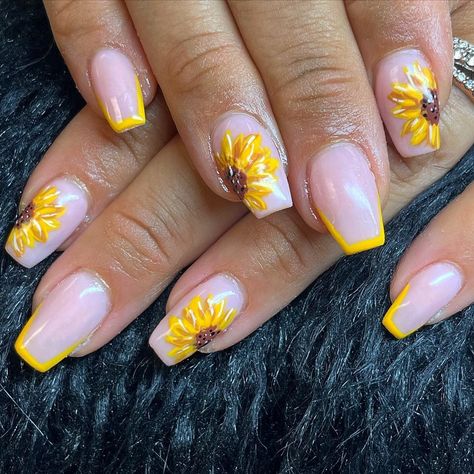 Summer is the time to get creative and bring brightness, positivity, and warmth to your nails, and what better way to do this than coffin sunflower nails? Get inspired by our roundup of the best nail design ideas with sunflowers on coffin nails. Fall Sunflower Nails Acrylic, Sunflower Themed Nails, Black Nails With Sunflower Design, Nails With Sunflowers, Cute Sunflower Nails, Fall Sunflower Nails, Sunflower Nails Design, Sunflower Nail Ideas, Grad Nails