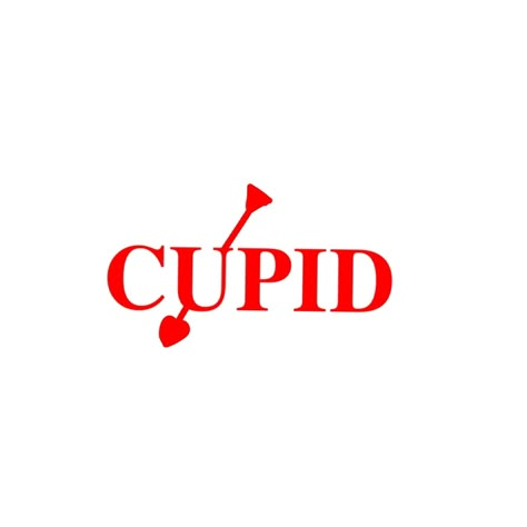 Group for your dr: Cupid ! ❤ Cupid Graphic Design, Cupid Logo Design, Cupid Quotes, Cupid Pfp, Cupid Core, Cupid Logo, K Pop Logo, Cupid Graphic, Anti Valentines