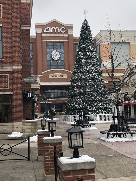 Newport on the Levee. Newport, Kentucky. Newport Kentucky, Newport, Places Ive Been, Kentucky, Christmas Tree, Holiday Decor, Home Decor, Home Décor