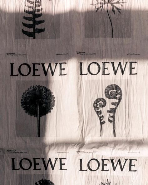 Naranjo-Etxeberria on Instagram: “Loewe Art Box in a an ephemeral exhibition in Madrid downtown. From N-E we have been working in the social feed and digital content for…” Best Actress Oscar, Digital Content, Box Art, Visual Identity, Luxury Brand, Pretty Wallpapers, Tree House, Art Direction, Instagram Feed