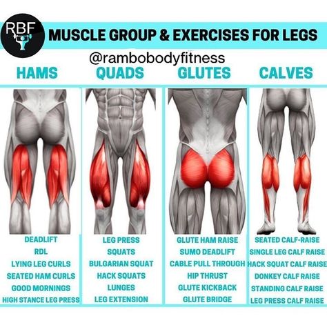 These exercises along with proper nutrition and supplements will get you in the best shape of your life. Add strength and muscle mass to your lower body. Like and subscribe. LJHernandez// Personal Trainer//Fitness Instructor//Bodybuilder//Exercise and Nutrition Advisor//Supplement Advocate #legs #legworkout #musclegrowth #strength #gym #bodybuilding #fitness #weighttraining Leg Day Muscle Groups, Different Leg Workouts, Different Leg Muscles, Legs Muscles Workout, Back Of Leg Workout At Home, Back Legs Workout, Intense Leg Workout Gym, Build Leg Muscle At Home, Back Of Leg Workout