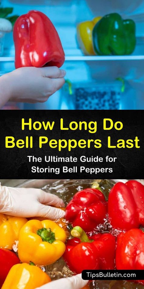 Discover the shell life of bell peppers, whether they are refrigerated or frozen. We’ll show you how to store red, yellow, and green bell peppers to maintain their flavor, and how to use up old peppers so they don’t go to waste. #bellpepperstorage #bellpeppershelflife #storingbellpeppers Storing Bell Peppers, Freezing Bell Peppers, Vegan Stuffed Bell Peppers, Red Pepper Pasta Sauce, Easy Stuffed Pepper Recipe, Stuffed Bell Peppers Chicken, Stuffed Peppers With Rice, Creamy Vegan Pasta, Easy Stuffed Peppers