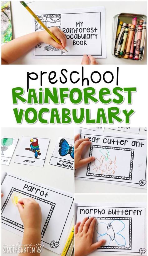 Preschool Rainforest Theme, Jungle Preschool, Preschool Rainforest, Micro School, Rainforest Preschool, Rainforest Crafts, Rainforest Activities, Forest Valley, Identifying Letters