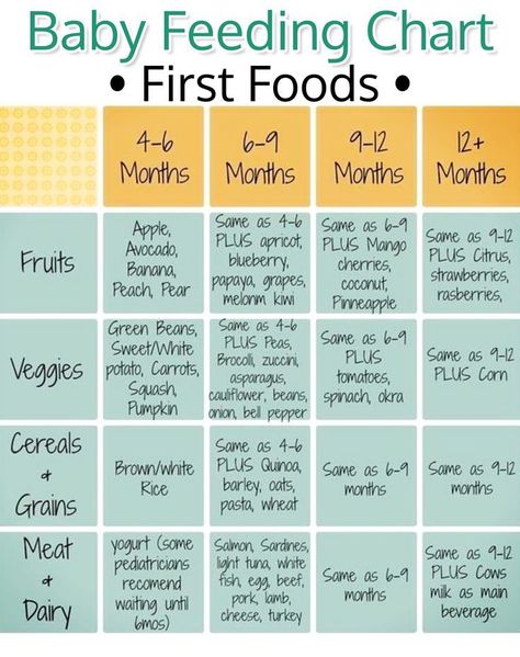 Baby First Food Chart, Baby Food Schedule, Perlengkapan Bayi Diy, Baby Led Weaning First Foods, Baby Feeding Chart, Diy Baby Food, Baby Parenting, Baby Food Chart, First Foods