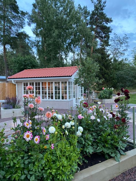 Blommande dahliarabatt🌸 Dream Garden, Garden Planters, Dahlia, Perennials, Dream House, Yard, Plants