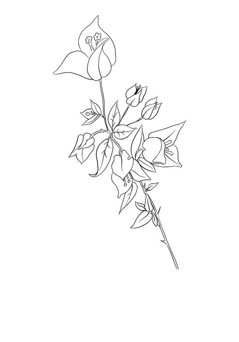 Bougainvillea Tattoo Design, Bougainvillea Tattoo, Rose Flower Tattoos, Cute Tiny Tattoos, Tattoo Outline, Bougainvillea, Piercing Tattoo, Tattoo Inspo, Mini Tattoos