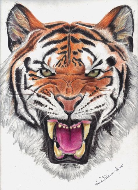 Tiger Eye Drawing, Tiger Reference, Tiger Face Drawing, Tiger Sketch, Big Cat Tattoo, Paper Tiger, Angry Tiger, Tier Tattoo, Tiger Tattoo Design